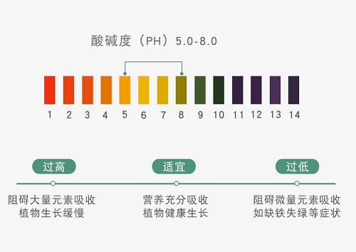 1649311117850514.jpg ebd634bb42c538355f32077a5df971fa_31625831_170923120180_2.jpg