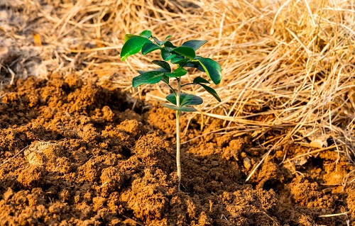 1650598081115967.png image.png