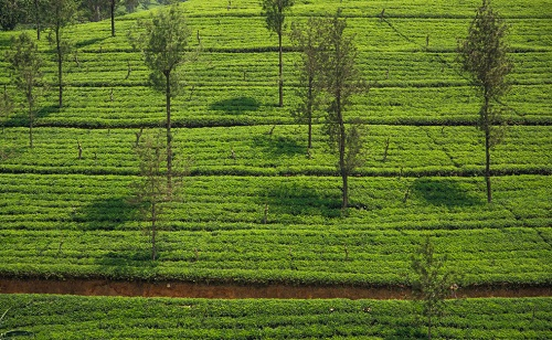 1652323834180790.png image.png