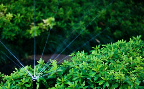 1653273856123982.png image.png