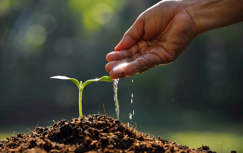 1655692851149265.png image.png