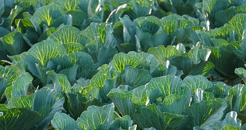 1661828438153951.png image.png