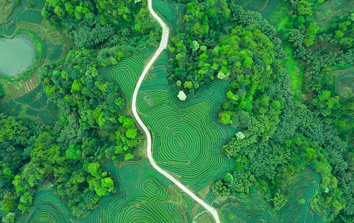 1663037073133089.png image.png