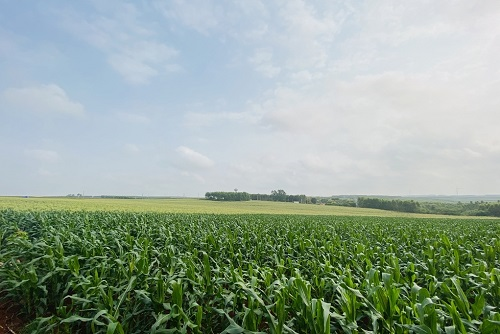 1663219900352169.png image.png