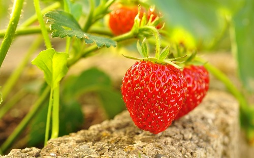 1668058174729167.png image.png