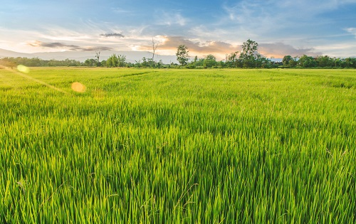 1671002977110102.png image.png