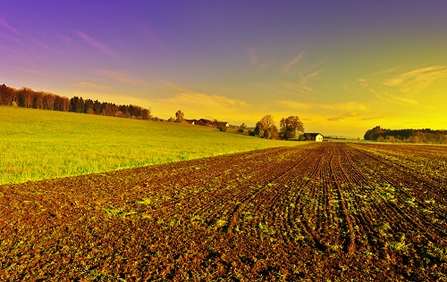 1671088161166201.png image.png