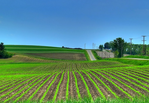 1673243504207857.png image.png