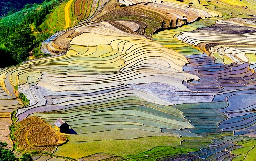 1673336220125849.png image.png