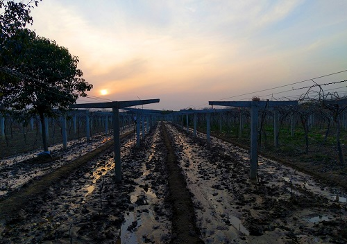 1675058836736115.png image.png