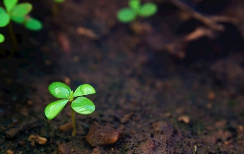 1675662211214639.png image.png