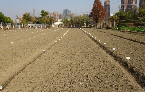 1677467815176776.png image.png