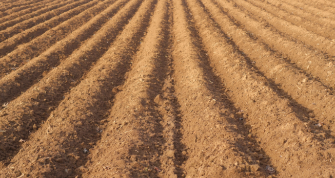 1680503939167835.png 土壤養分檢測儀的檢測原理