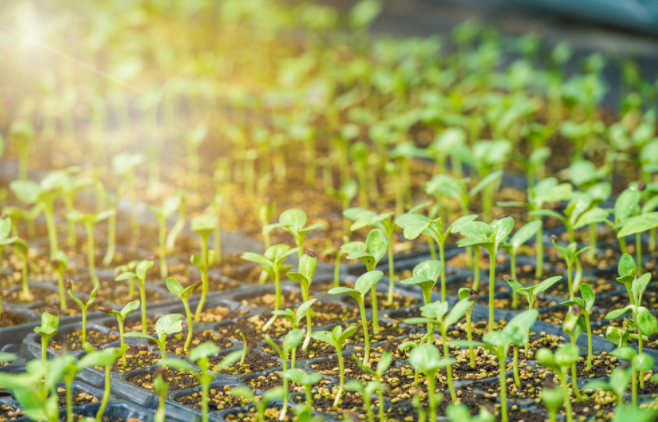 1683273240134796.png 1683273240134796.png